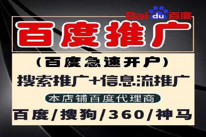 成功托管SEM竞价，实现品牌快速曝光